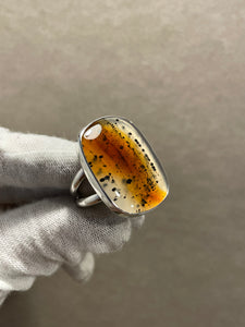 Montana Agate Ring 8.5